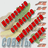  Полезные свойства имбирного корня