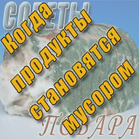 Плесень: когда продукты становятся мусором