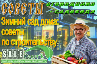 Зимний сад дома: советы по строительству