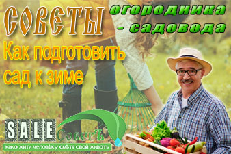 Как подготовить сад к зиме
