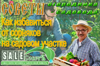 Как избавиться от сорняков на садовом участке: народные способы