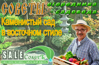 Каменистый сад в восточном стиле