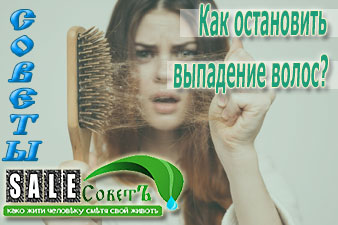 Как остановить выпадение волос?