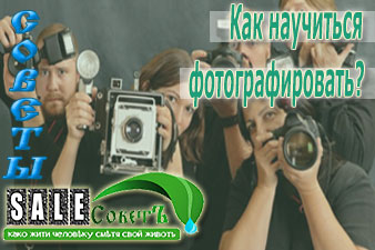 Как научиться фотографировать?