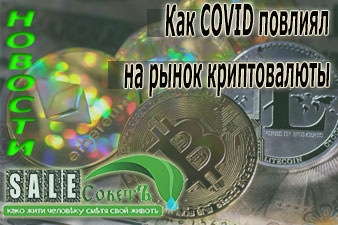 Как COVID повлиял на рынок криптовалюты