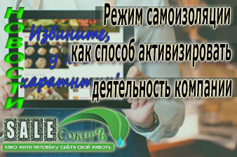 Режим самоизоляции как способ активизировать деятельность компании