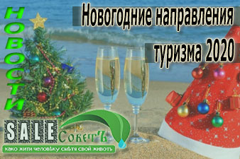 Новогодние направления туризма 2020